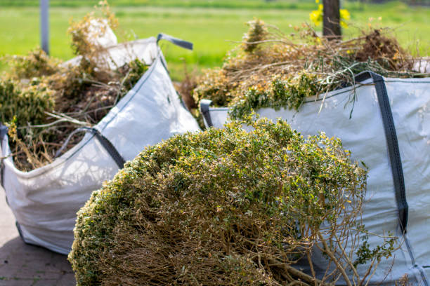 Best Same-Day Junk Removal Services  in Idaho Springs, CO